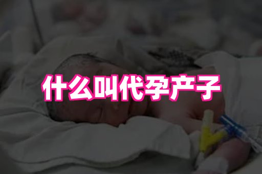 gfg孕网 1