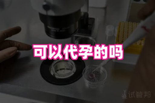 gfg孕网 4